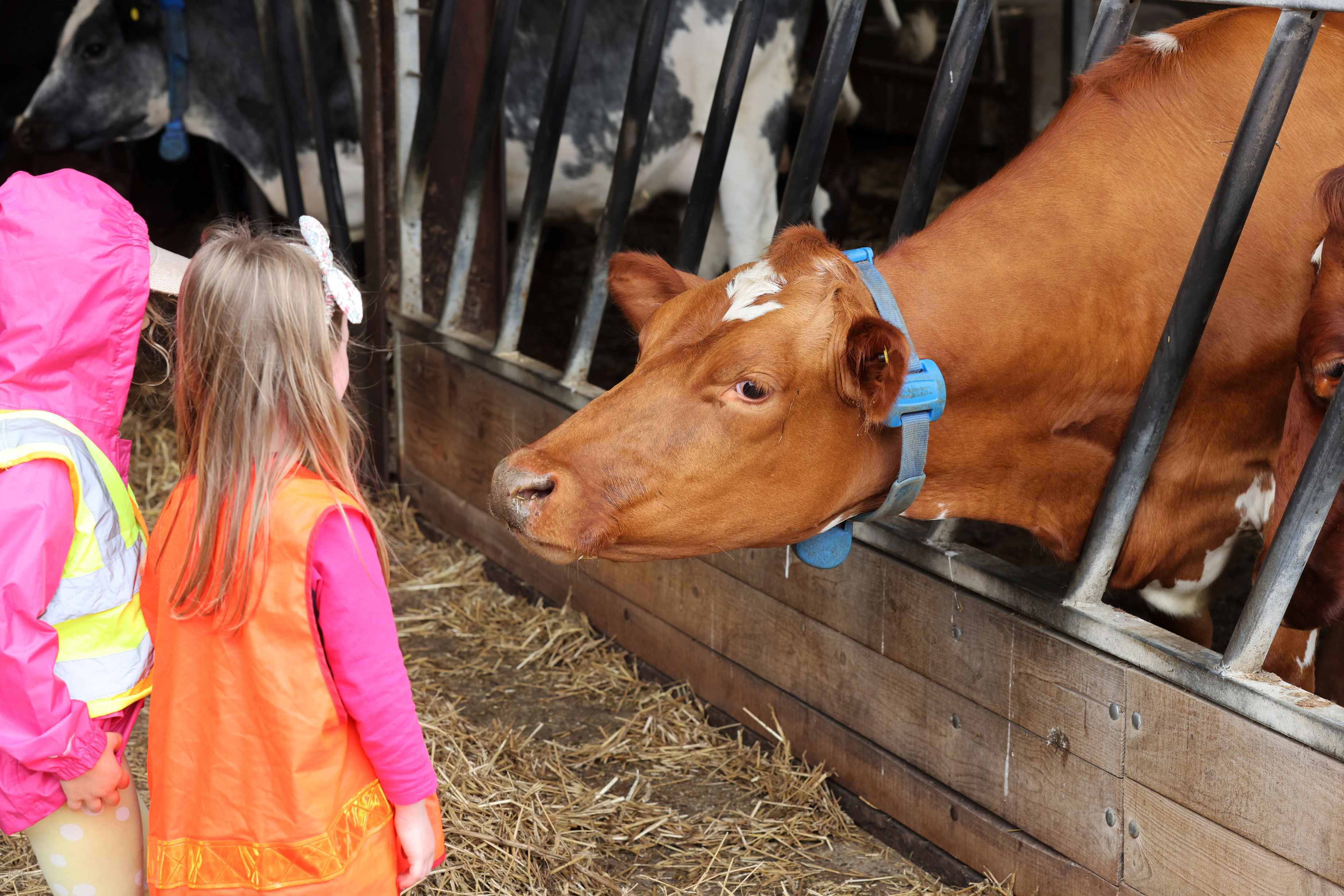 Sam Stephenson Home Farm.jpg