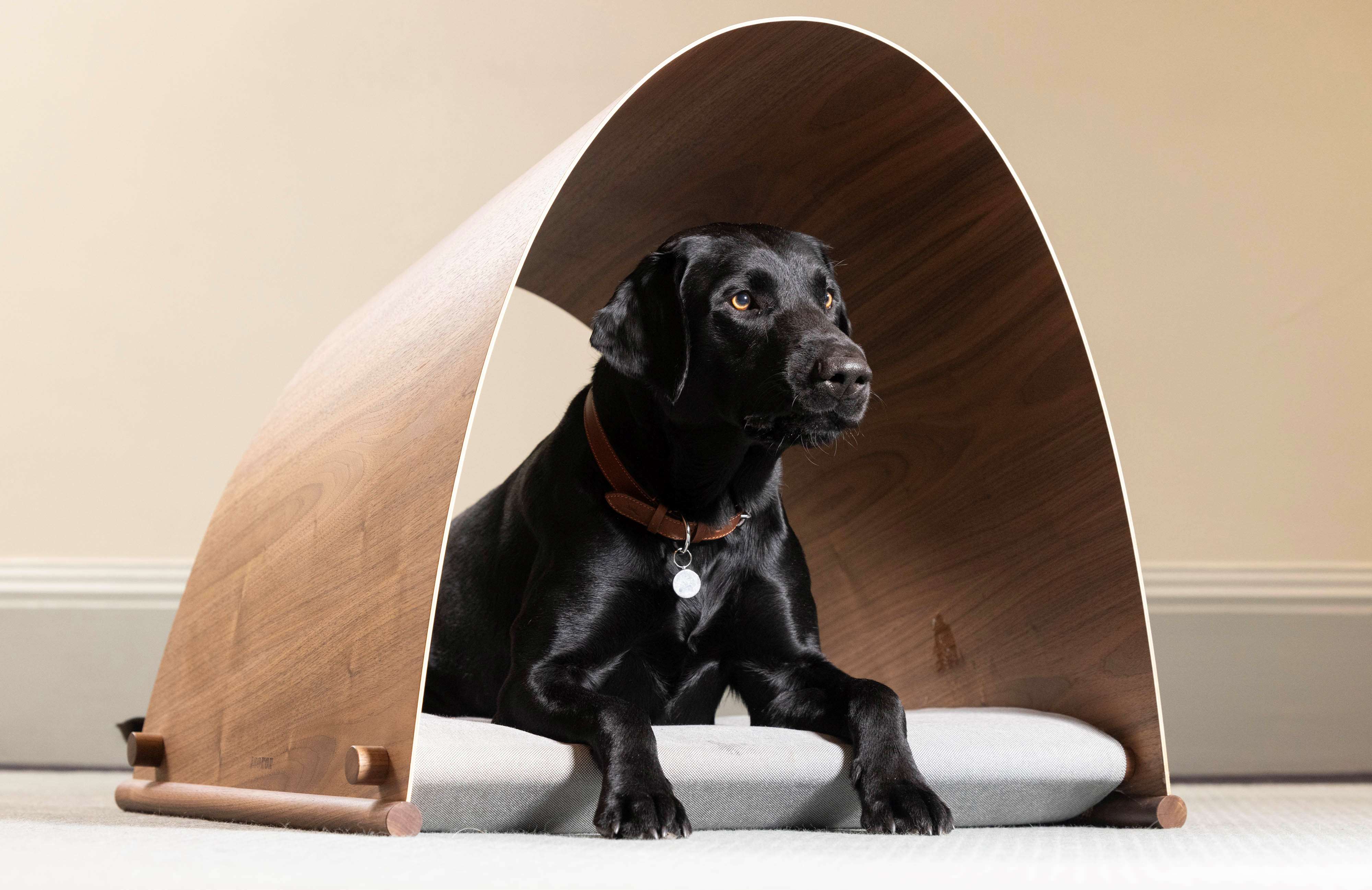 Goodwood Goodwoof celebrates National Labrador Day