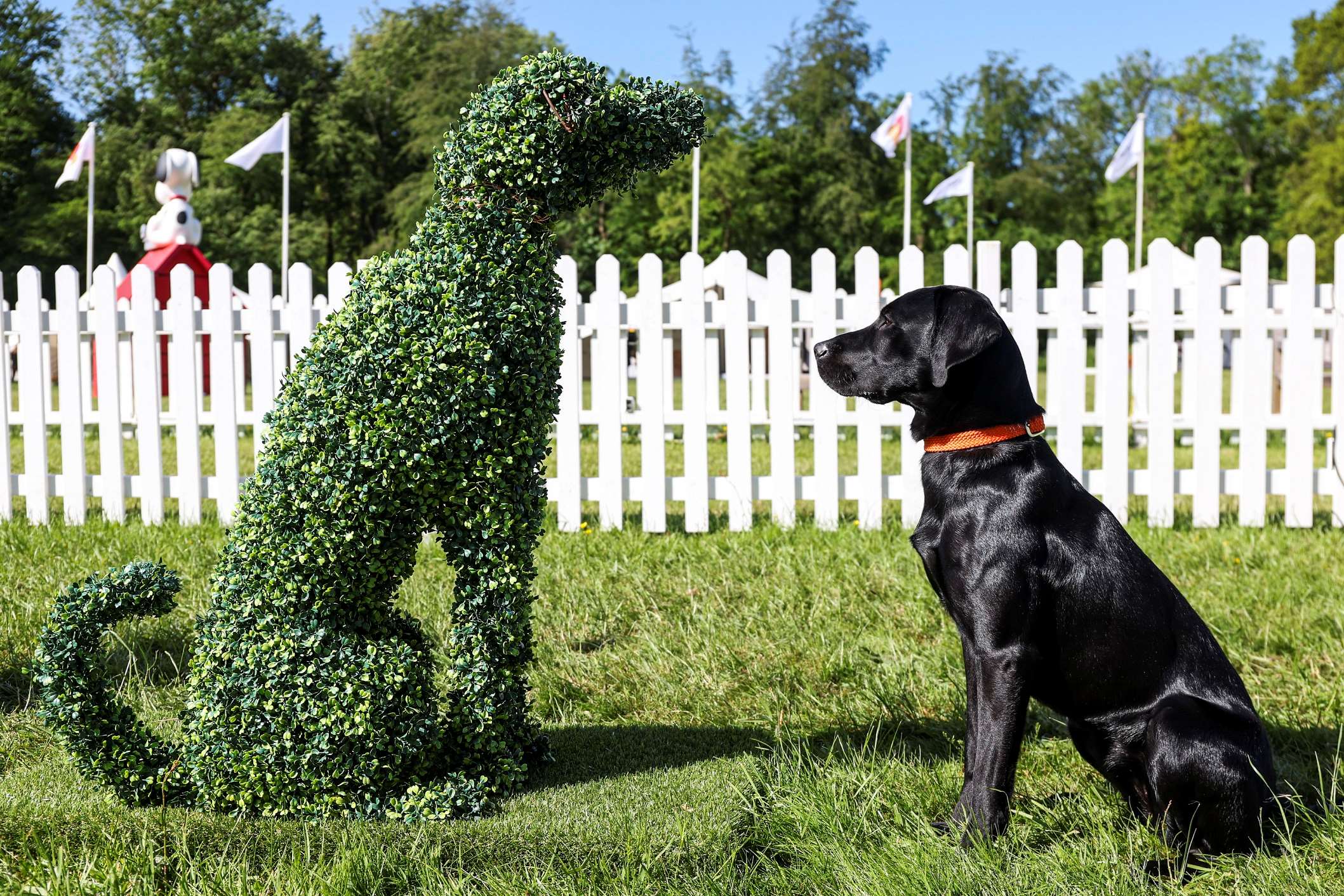 Goodwood Goodwood unleashes dates for Goodwoof 2024