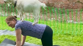 Julie Goat Yoga.jpg