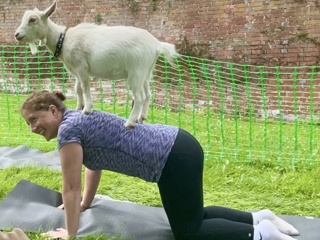 Julie Goat Yoga.jpg