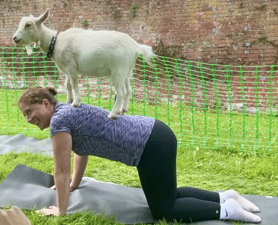 Julie Goat Yoga.jpg