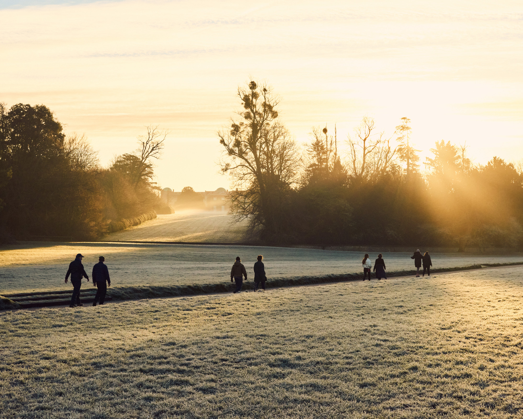 Sunrise Breath Walk on the Goodwood Estate.png