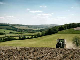 farmland-surrounding-goodwood.jpg